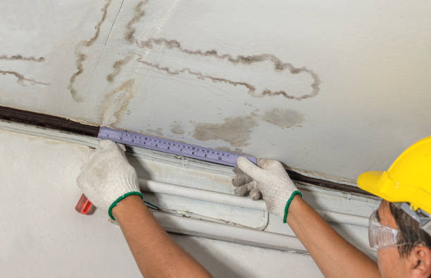 Reliable Water Damage Repair contractor in Harrington, DE by Aqua Guard Water Damage